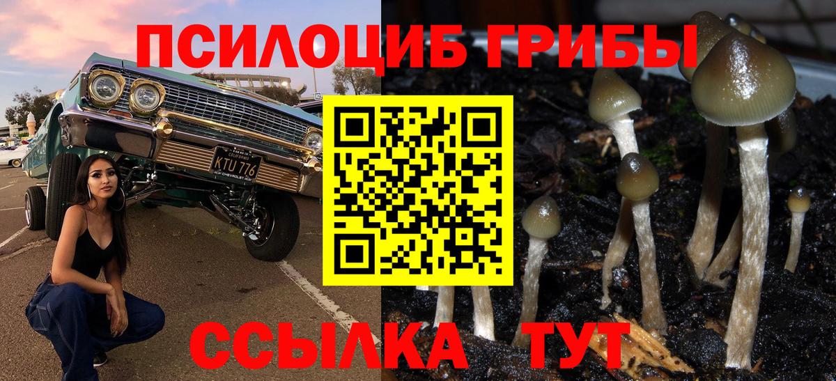 Псилоцибиновые грибы ЛСД Сергиев Посад