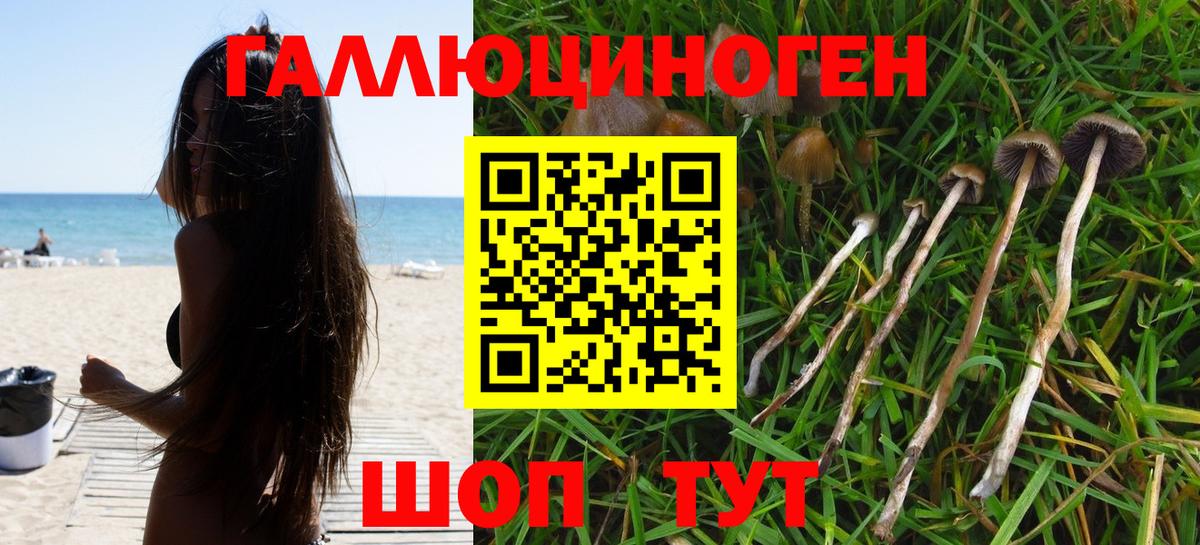 Галлюциногенные грибы прущие грибы  Вход с VPN  купить   Сергиев Посад 